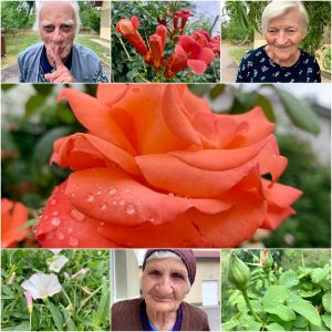 Colaj - Bunici printre flori și picături de ploaie